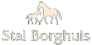Stal Borghuis